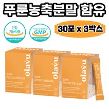차전자피 환 가르시니아 차전초 차전자 질경이씨앗 5500mg 30포 푸룬농축분말 장비우기 임산부 먹기편한 작은크기 귀리 식이섬유 수용성 장청소 분말 변이딱딱 질경이, 3개, 5.5g