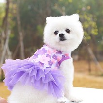 작은 개 꽃을위한 레이스 쉬폰 드레스 패션 파티 생일 강아지 웨딩 드레스 애완 동물 개를위한 여름 귀여운 의상 옷, XS, Purple