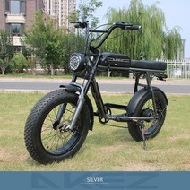 전기자전거 전기자전거렌탈 전기 자전거 4.0 지방 타이어 48V1500W 전자 듀얼 배터리 18ah 남성 오토바이, 03 48V750W13AH, 한개옵션1