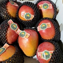 하솔마켓 페루 애플망고 2KG 3KG 4KG 브릭스 19이상, 3KG(6~8과), 1개