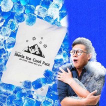 (국산) 시베리아 휴대용 아이스 펀치 쿨팩 10개 세트 냉찜질 타박상 얼음팩 쿨패치 물 얼음 주머니 더웨이브스토어, 시베리아 아이스 쿨팩 10개