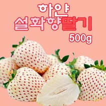 프리미엄 하얀딸기 설화향 500g