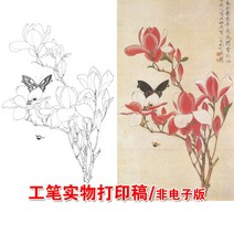 목련 벌과 나비 초안 한국화 동양화 드로잉 밑그림 그리기연습 2매기준 참고그림포함, 2. A3 참고 사진으로, 1. 66120cm