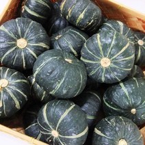 국내산 제철 미니 단호박 밤호박 2kg 4kg, 2kg(1박스), 1박스