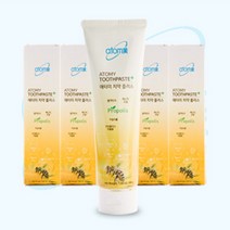 애터미 플러스 프로폴리스 치약, 200g, 15개
