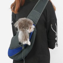 썬몰 반려견 슬링백 산책가방, 빅_레드