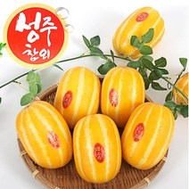 성주참외 동국농산 산지직송 당도선별 실속형 고급형 당일수확 3kg 5kg 10kg, 1박스, 3kg/실속형/중대과
