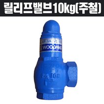 유일정밀 릴리프밸브10kg 주철 25A