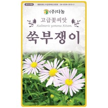 자운영 2g - 야생화 씨앗 꽃씨 씨 꽃씨앗 자운영씨앗 자운영씨 다년생 여러해살이 야생화씨앗 꽃 연화초 홍화채 쇄미제 야화생, 32_다농_쑥부쟁이(1.5g)