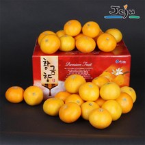 산지직송 제주 못난이 황금향 3KG 사이즈 랜덤 제주연가, 1개