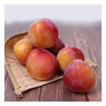 [산지직송] 새콤달콤 의성 자두 2kg (개당 110g내외) 기타브랜드