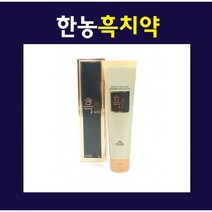한농마을 흑치약130g 발명특허 숯치약 치약, 130g, 1개