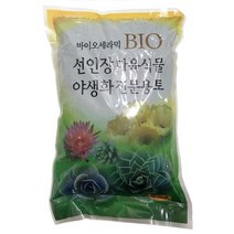 선인장 다육분갈이흙-혼합배합토/야생화분갈이용토