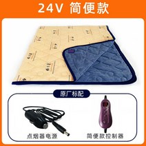 차량용 전기장판 12V 캠핑카 24v 화물차 전기요 2인용 USB 자동차 난방매트, 24V 간편 【단일 제어】, 150x50cm