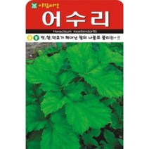 AR 어수리(50립) 산채종자 씨앗