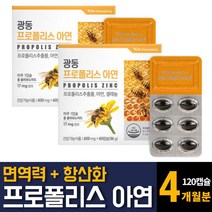 호주산 프로폴리스 아연 항산화 면역력강화 높이는 좋은영양제 몸속에 만성 염증 향균작용 제거 60캡슐 2개
