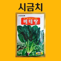 농사친구 시금치 씨앗 1400립 베테랑 동원 씨 종자 모종 항암 배추 고추 맥문동 고수 깻잎 잔디, 1봉