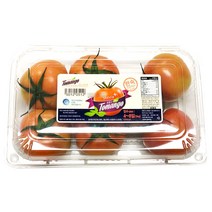 생생스토리 토망고 스테비아 토마토 토망고, 1박스, 4kg