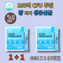 100억 대용량 식약처인증 추천 모유 유래 유산균 아연 비타민B 락토바실러스 가세리 람노서스 플란타룸 lgg gg 엘지지 배변활동 원활 장내 유익균 증식 유해균 제거 억제, 2박스, 60포