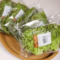 우리네농산물 국내산 적상추 100gx4봉 10봉 / 산지직송 적상추 lettuce
