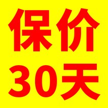 Supor 304 스테인레스 스틸 압력 밥솥 가정용 가스 유도 일반 공식 플래그십 방폭, 30 일 동안 가격 보호  비싸게 사고 차액 환불