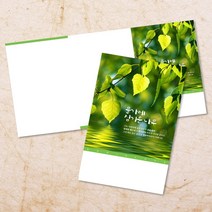 교회 절기 주보 추수감사절 주보용지 3단 6면 주보지 52주 디자인 순서지 안내지 교회용품 기독교용품 주일학교 청년부 전도용품 새교우, EW-15