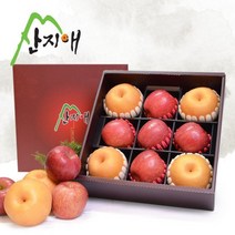 산지애 명품 왕사과5+배4세트 5.3kg이상, 단품