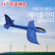 1+1 에어플라이 글라이더 스티로폼 나혼자산다, 랜덤