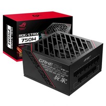 ASUS ROG STRIX 750G 파워 (ATX 750W), 선택하세요
