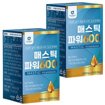 매스틱 파워600 검 600mg 60 정 x2박스 2개월분 분말 파우더 회사 직장인 주부 아빠 남자 남성 거래처 동료 부장님 직원 30대 40대 50대 60대 엄마 매일 먹기편한