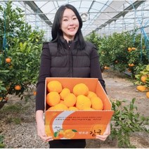 [산지직송] 미식언니 레드향 18brix 최고당도 3kg백화점선물세트 5kg 10kg 가정용, 가정용5kg(소중대과 혼합)