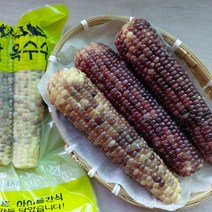 강원도 정선 찰옥수수 흑찰옥수수 삶아 찐 냉동옥수수 17cm내외 미흑찰옥수수, 15개, 냉동 흑찰옥수수 17cm내외