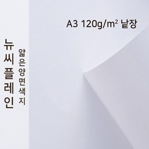 뉴씨플레인 종이문화 얇은 양면색지 120g A3 낱장 1매 No.50 흰색, 1장