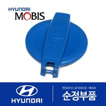 아이오닉 전기차 워셔액통 캡 뚜껑 (2019 이후)