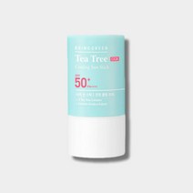 브링그린 티트리 시카 쿨링 선스틱 22g