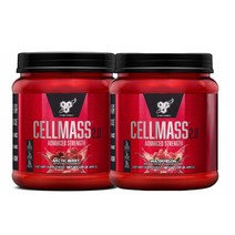 BSN 노익스부스터 셀매스 헬스부스터 크레아틴 495g, 1개, 수박