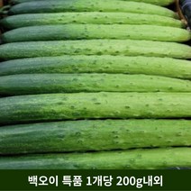 백오이 백다다기오이 오이소박이 당일물건, 30개, 1개당 200g내외