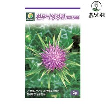 흰무늬엉겅퀴 씨앗 2g 밀크씨슬 우유엉겅퀴 2년초 + 네임택, 단품