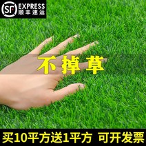인조잔디 플라스틱 잔디 필드 둘레 프로그램 로데오 후릿그물 밭 모방 녹색식물 시