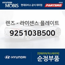 렌즈-라이센스 플레이트 램프 (925103B500)-현대모비스 부품 공식대리점 온라인쇼핑몰 파츠로 베라크루즈, 1개