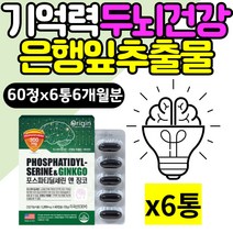 중년 여성 기억력 두뇌건강 누트로픽 은행잎추출물 50대 60대 인지력 뇌영양제 좋아지는법 에좋은 음식 징코라이드 포스타딜세린 누트로픽 플라보놀배당체 GINKGO 뇌에좋은음식 필수