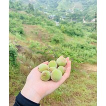 청정지역 자연산 돌복숭아청 효소 개복숭아 5kg/10kg, 개복숭아원액(효소)1200ml