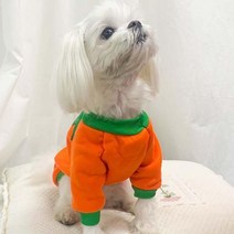 모두의 파티 데코 펫 할로윈 인쇄 후드의상- 6701129EA, 쿠팡 M-보험가입거절