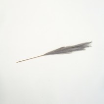 메종드노르딕 북유럽 갈대 뮬리 팜파스 인테리어 조화 가지, 진그레이