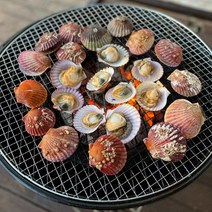 국내산 통영 홍가리비 집에서 조개구이 1kg (25미 내외) 산지직송, 홍가리비 1kg (25미 내외), 1개