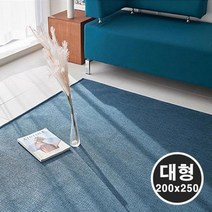 [모비딕컴퍼니] 대자리카페트 자리 여름카페트 여름자리 거실대자리 나무카페트 거실매트, 잇★ 먼지없는 자가드 카페트매트 평직 거실러그 대형, 잇★ 챠콜