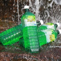 지리산 고로쇠 수액 약수물 1.5L x 12병