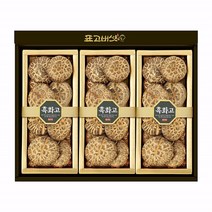 [표고아빠]참나무 국산 표고버섯 선물세트[웰빙3호](부직가방+택배박스), 1세트