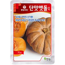 단맛맷돌호박70립/맷돌호박종자 맷돌호박씨앗, 1개