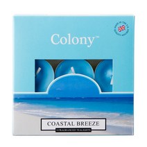 콜로니 티라이트 향초 9개 Coastal Breeze 코스탈브리즈